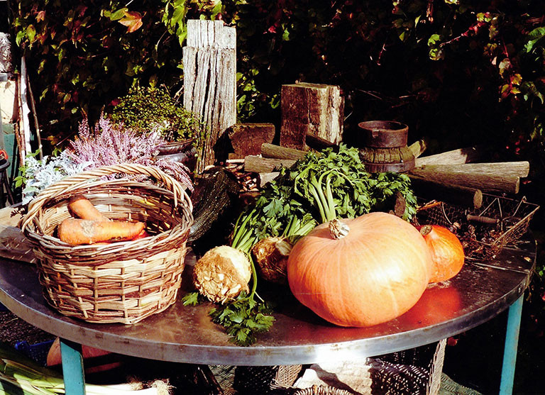 garten-teaser.jpg